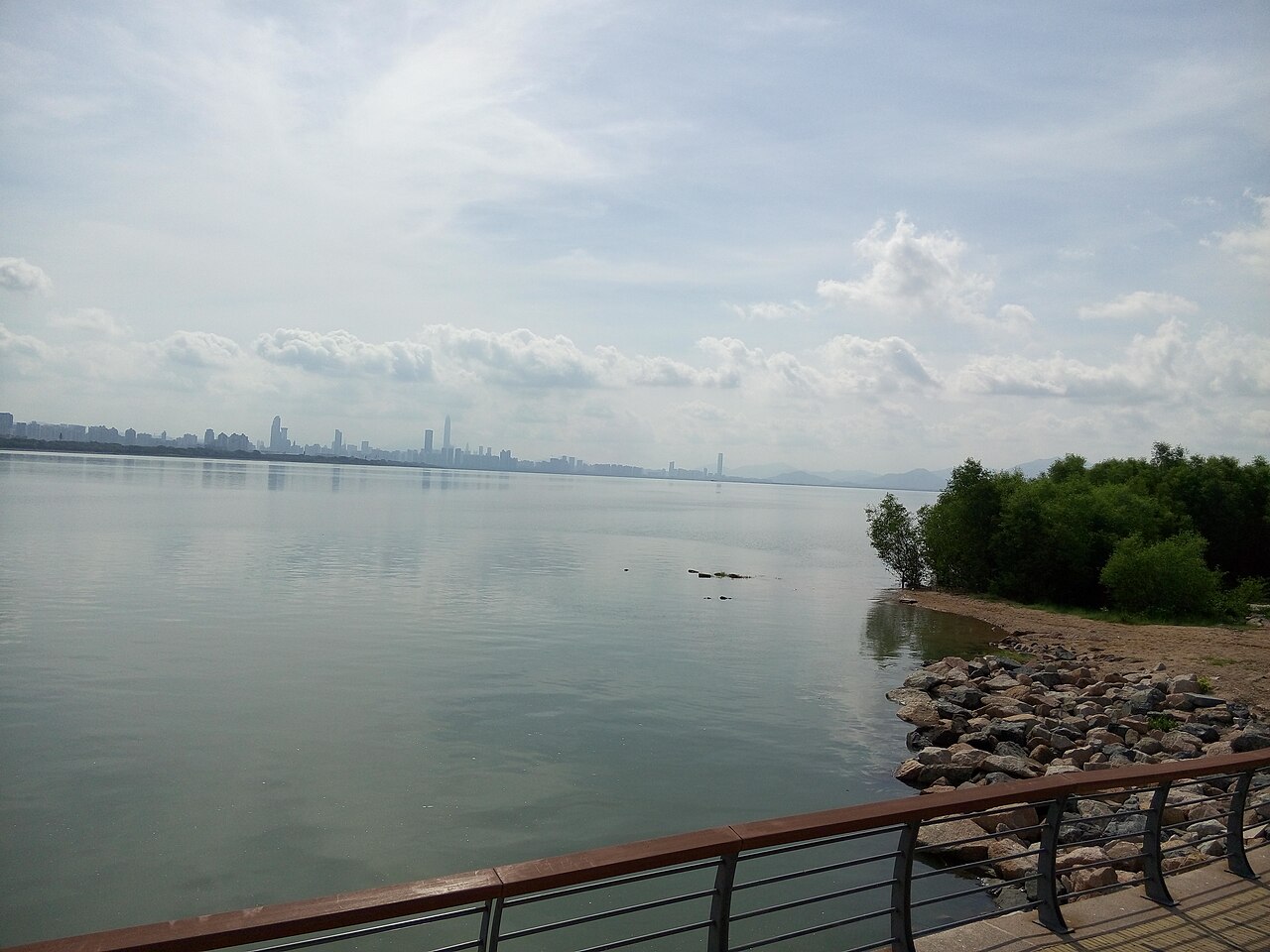Shenzhen's city skyline seen from Shenzhen Bay Park